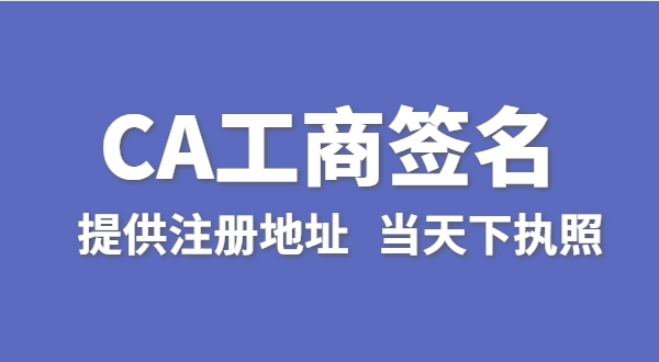 注冊(cè)公司怎么使用CA數(shù)字證書(shū)進(jìn)行簽名（工商電子簽名怎么操作）