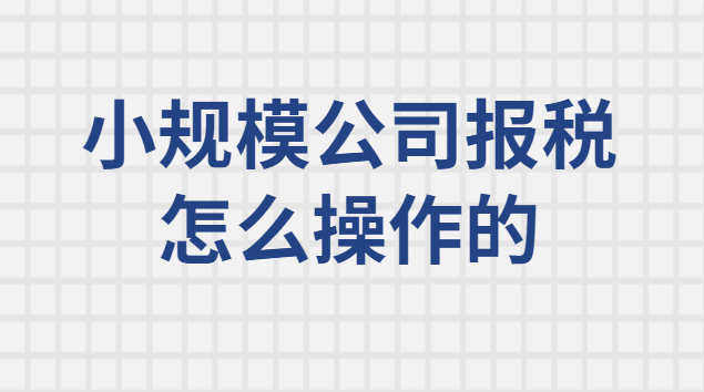 小規(guī)模納稅人每月報稅操作流程(小規(guī)模納稅人網(wǎng)上報稅怎么操作)