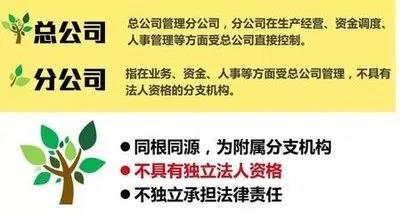 注冊子公司好還是分公司好，子公司和分公司有什么區(qū)別？